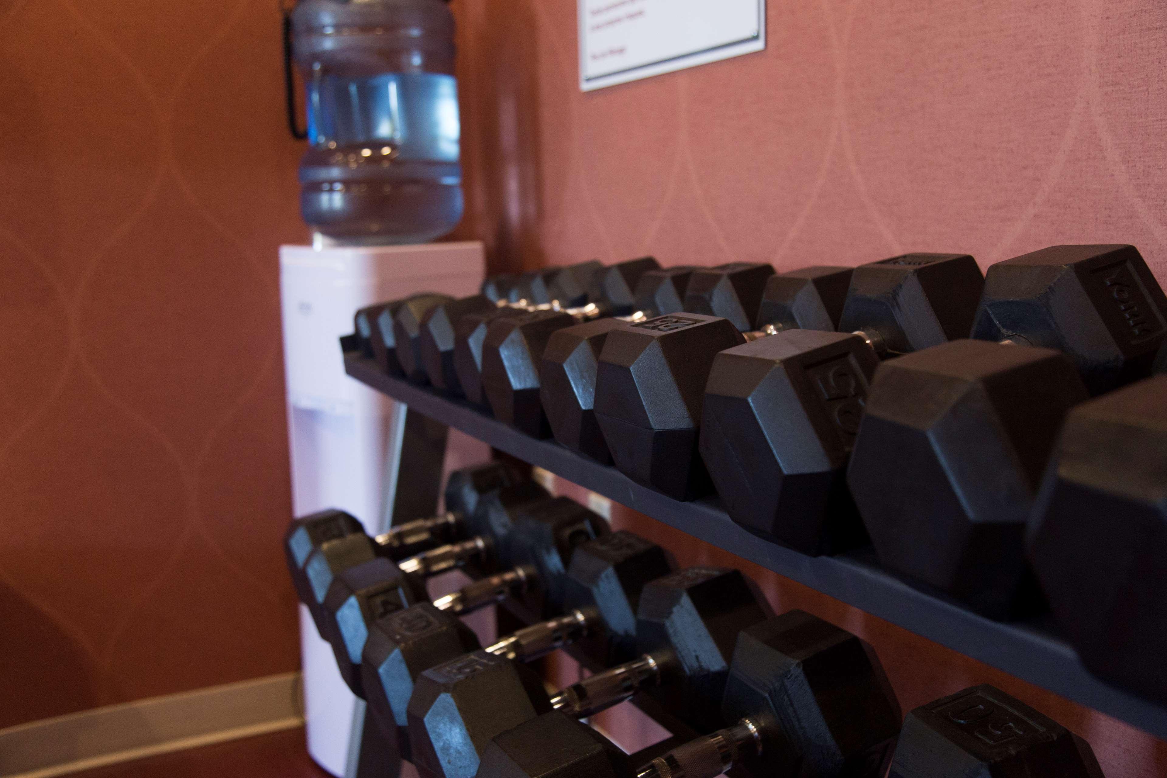 Best Western Plus Fredericton Hotel & Suites Экстерьер фото